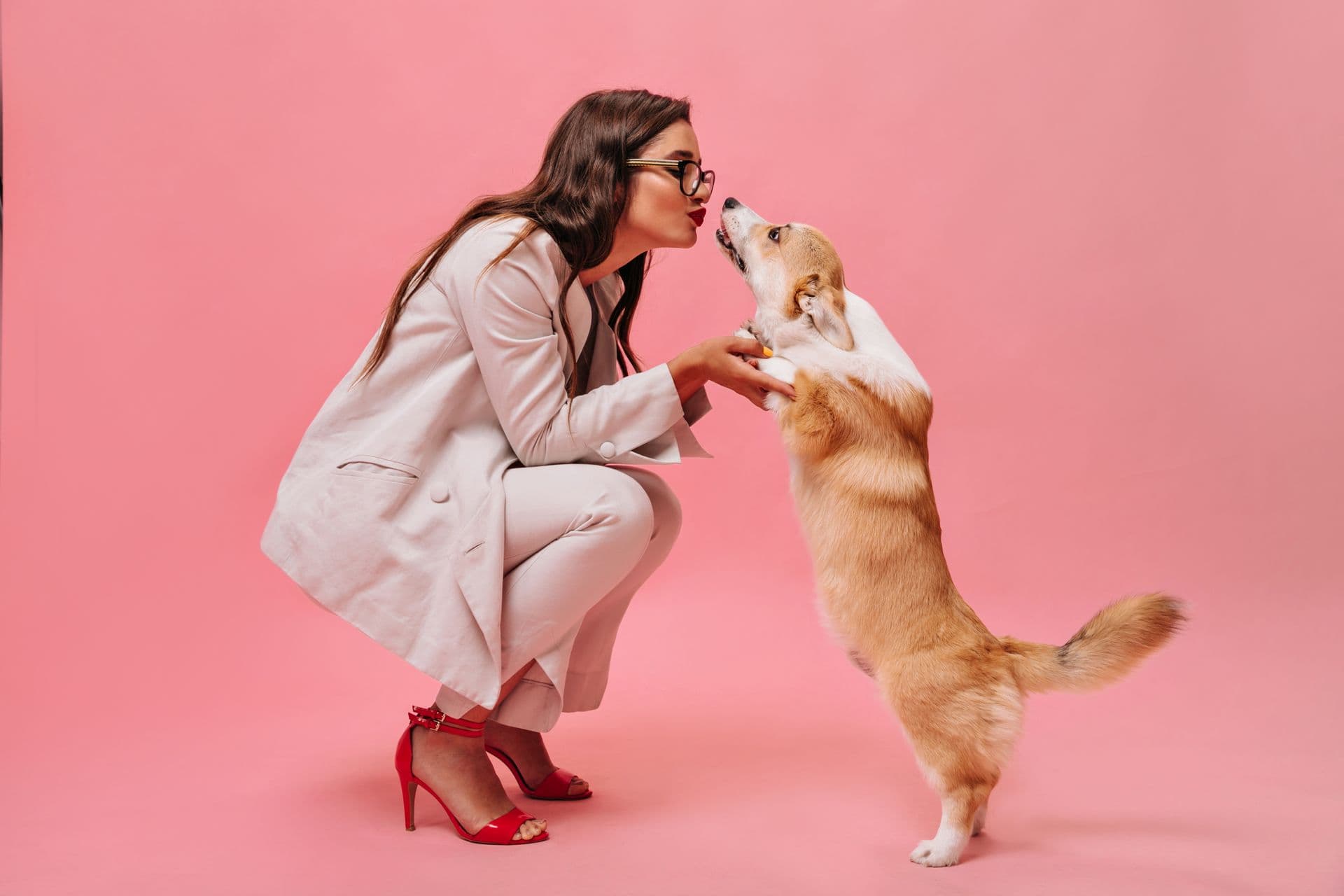Dog photography session in Peterborough, UK by Snap U Photography