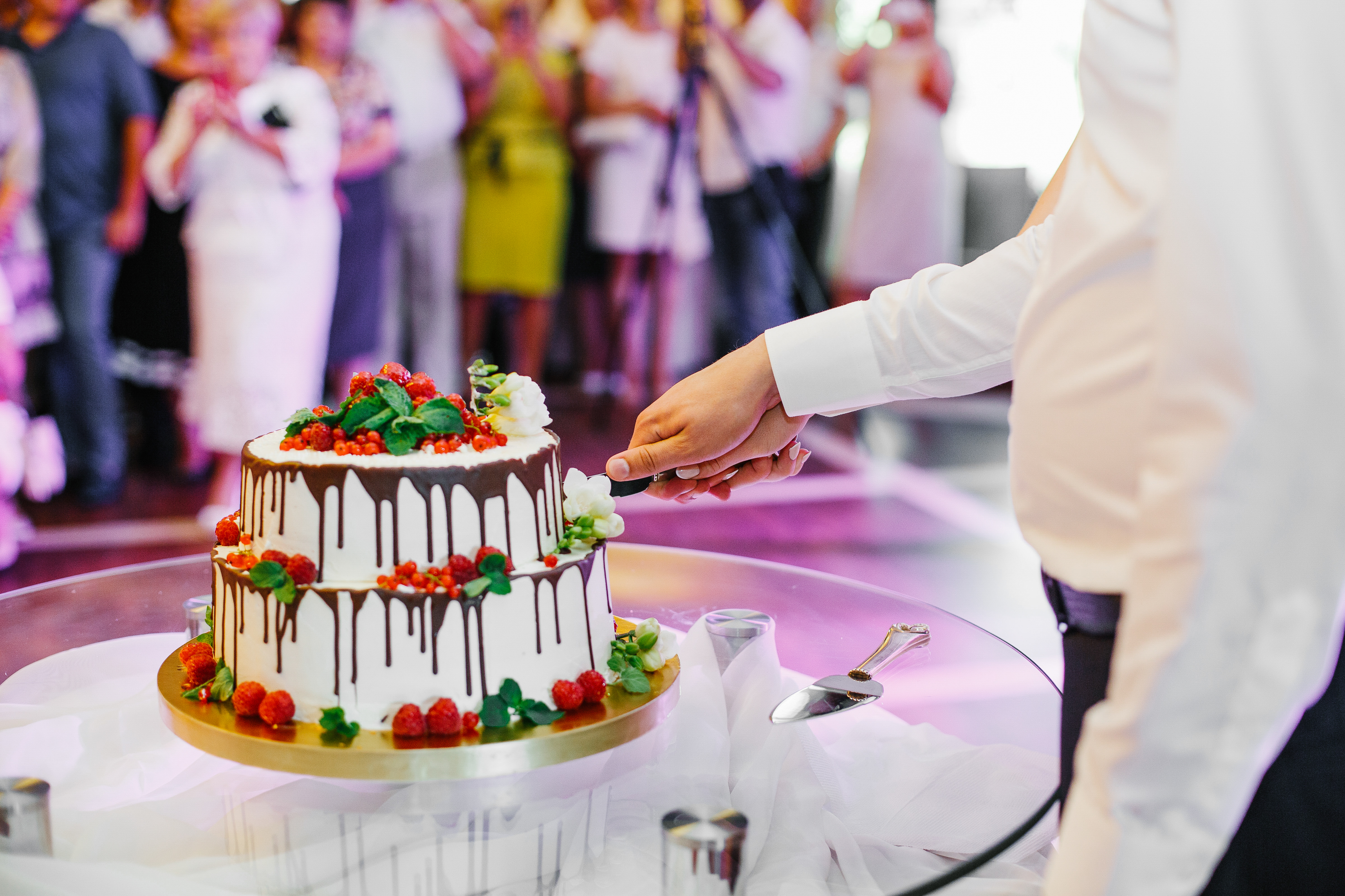 Cake Cutting Ceremony